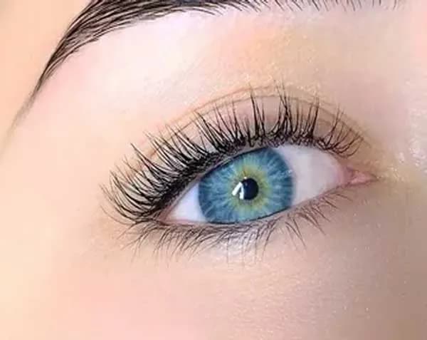 Lash Tint
