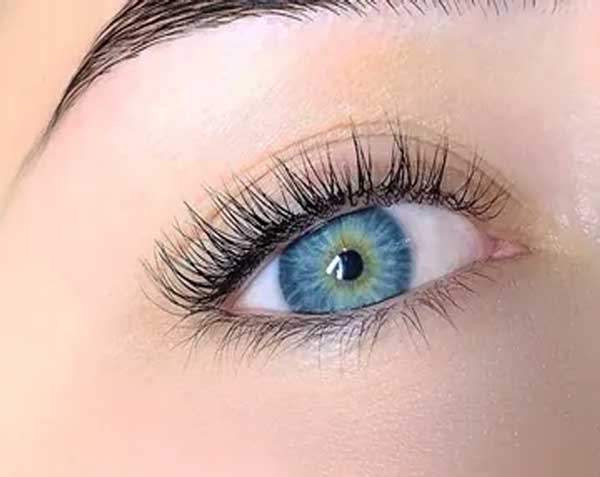 Lash Tint
